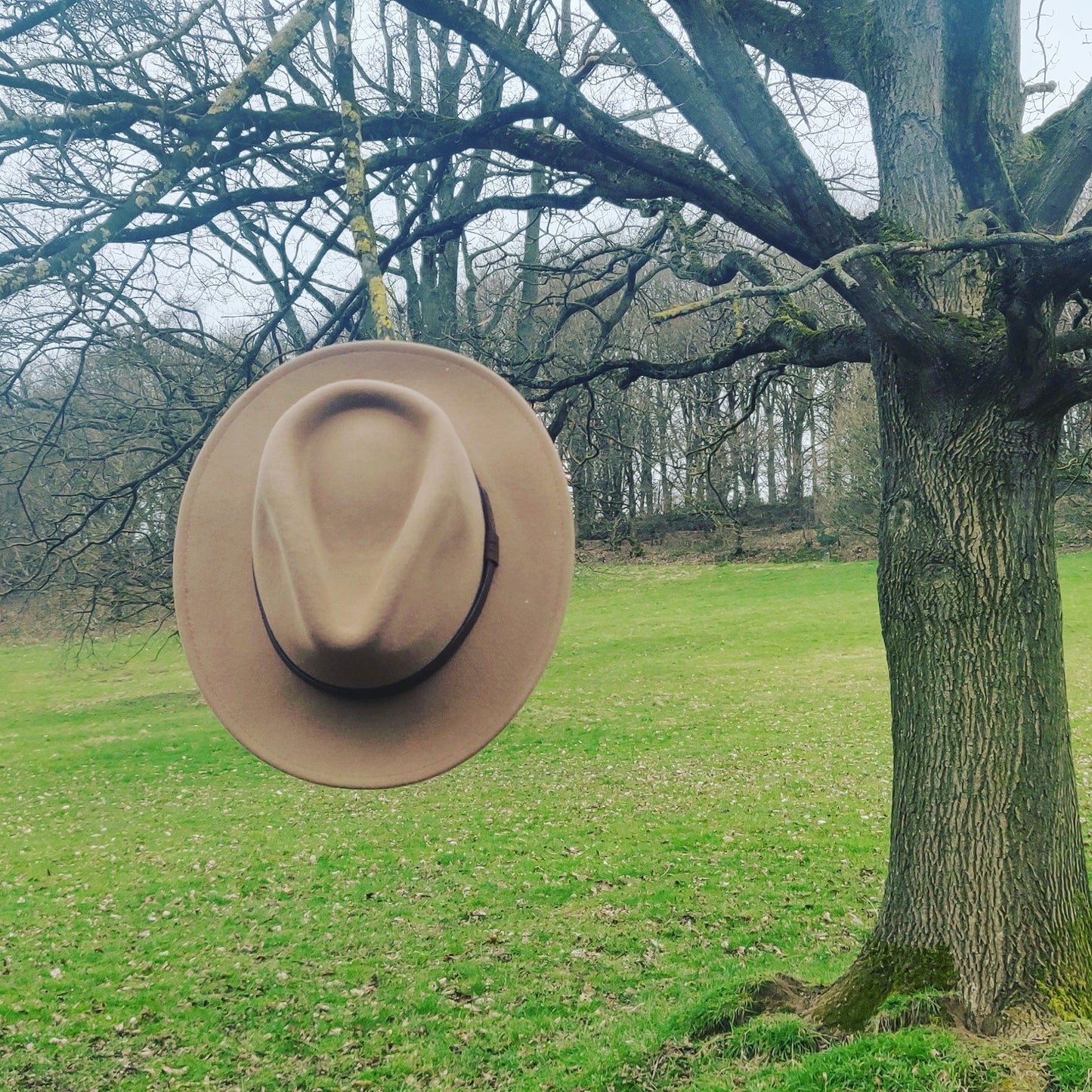 The West Country Walker Wide Brim Fedora Hat Camel - HipHatter