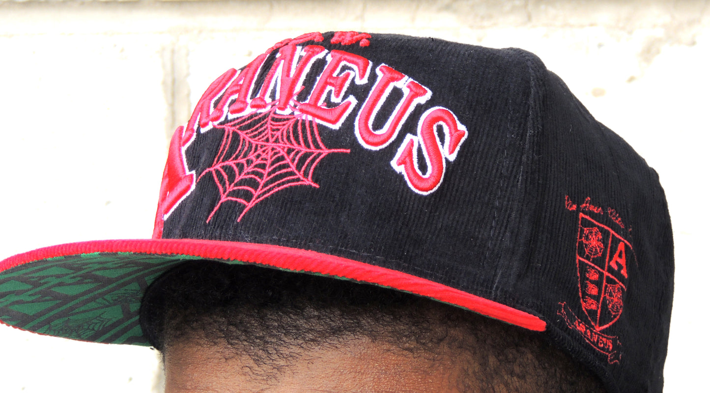 Araneus A.D.W. Snapback Skater Hat - HipHatter