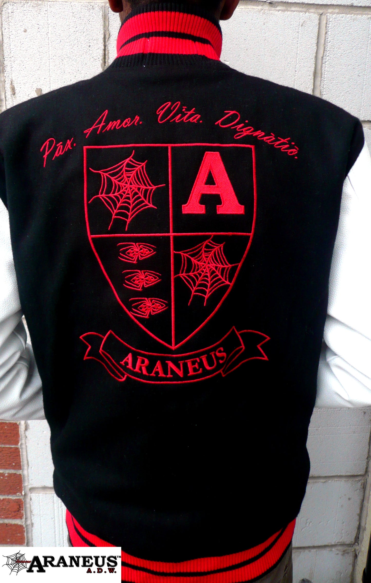 Letterman Varsity Jacket With Leather Sleeves Araneus A.D.W. - HipHatter