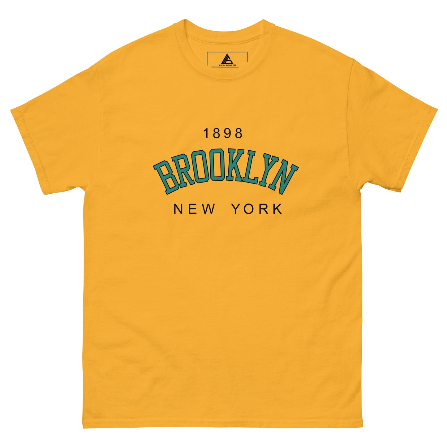 1898 Brooklyn New York College T Shirt