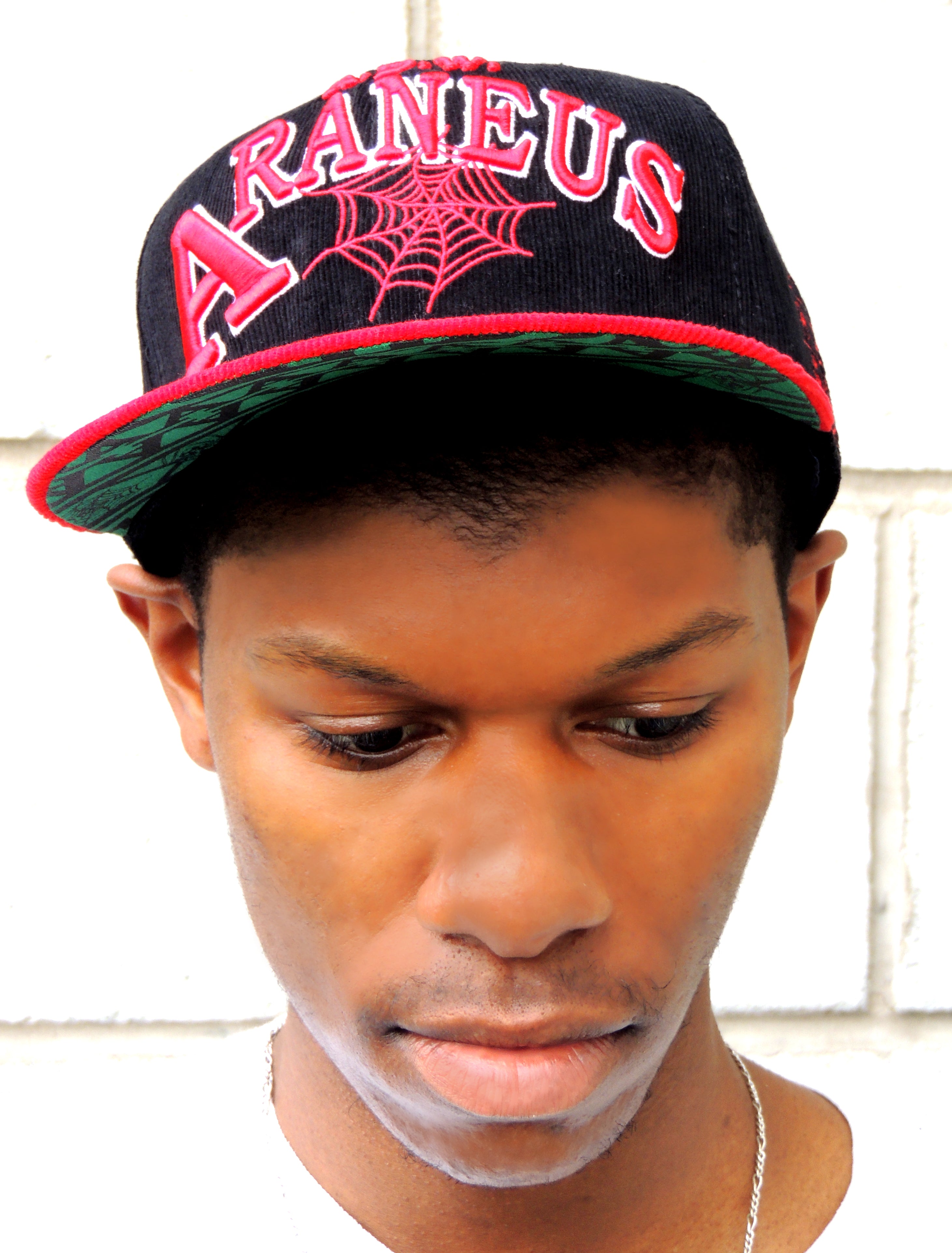 Araneus A.D.W. Snapback Skater Hat HipHatter